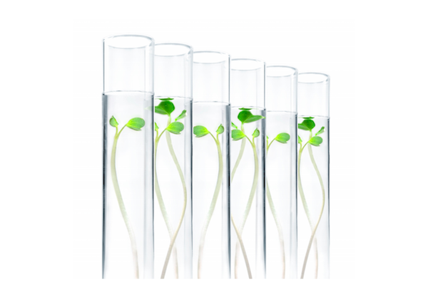 Christina Kosmetik - UMWELTVERANTWORTUNG